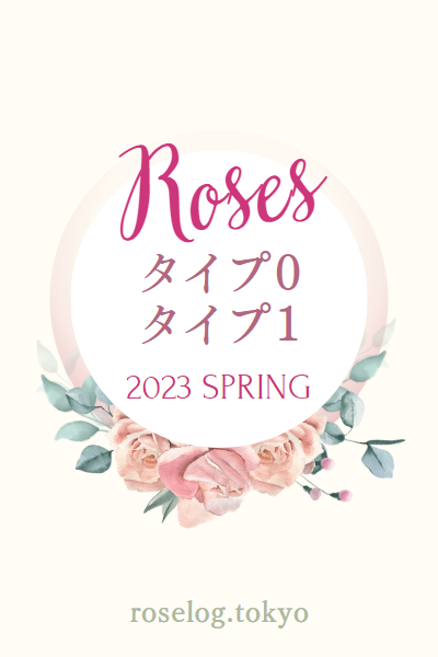 ロサオリエンティス 新品種 2023 春 タイプ0 タイプ1 roselog.tokyo