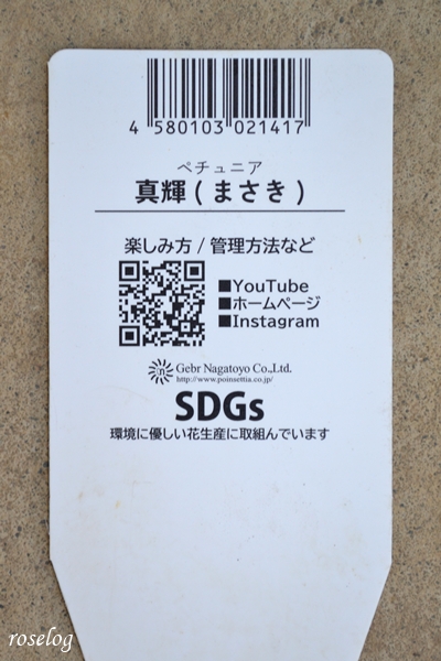 20250503 ペチュニア 真輝 ゲブラナガトヨ ラベル タグ ガーデニング ブログ 画像 roselog