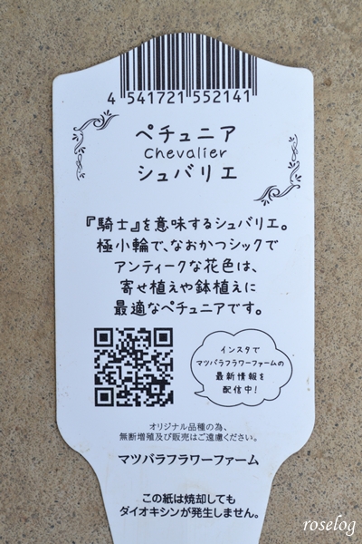 20250505 アンティークミニペチュニア シュバリエ マツバラフラワー ラベル タグ 画像 roselog