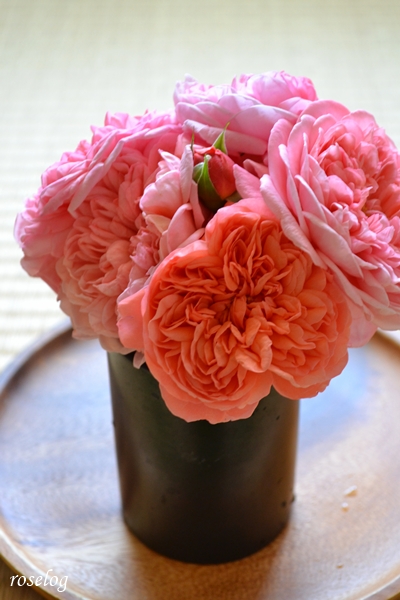 20250511 ライフ バラ ブログ ロサオリエンティス タイプ0 バラの家 切り花 花瓶 画像 roselog