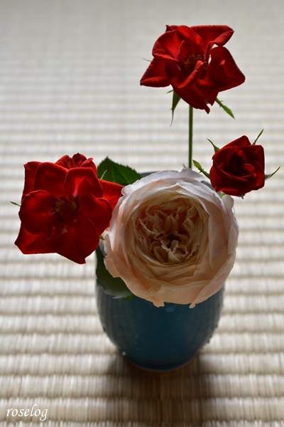 20251018 環 美空 バラ ブログ 母のミニバラ 切り花 畳 湯呑 薔薇 10月 秋 開花 画像 roselog