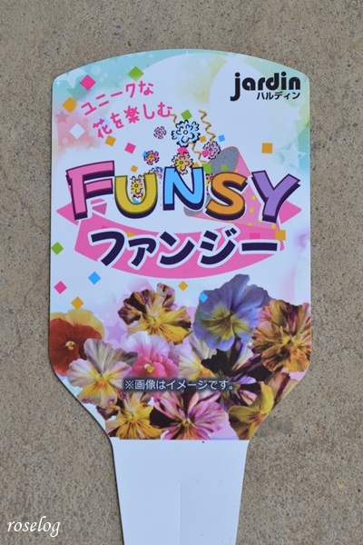 20251122 パンジー ファンシー ハルディン ラベル タグ 画像 roselog