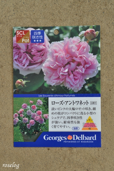 20260115 ローズアントワネット ラベル タグ 画像 roselog