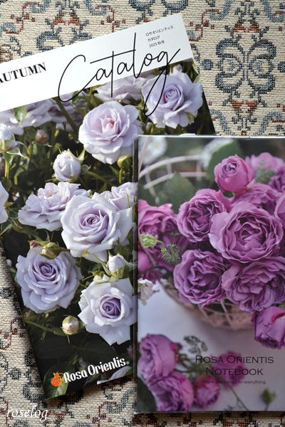 20260116 バラの家 ロサオリエンティス カタログ ノート 2025 秋 画像
