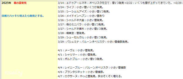 2025年 園芸記録 バラの蕾の発見 ブログ 2025 春 roselog01