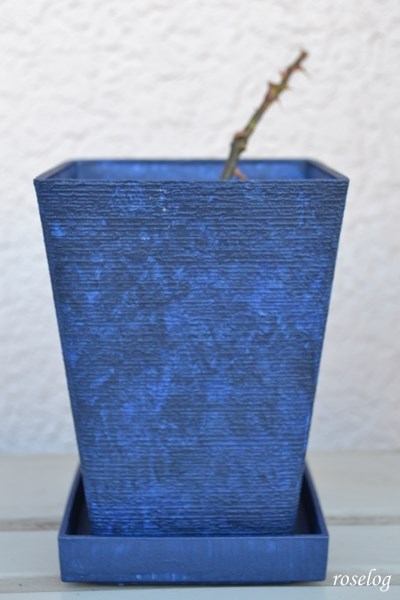 プラ鉢 ペイント 塗装 ブログ 画像 roselog