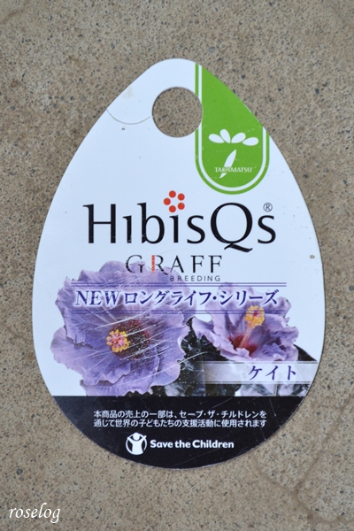ハイビスカス ケイト NEWロングライフシリーズ GRAFF 高松商事 ラベル タグ 画像 roselog