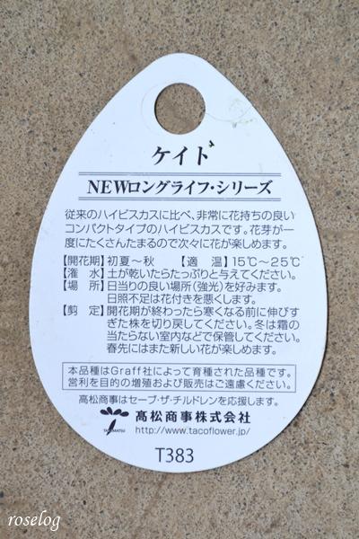 ハイビスカス ケイト NEWロングライフシリーズ GRAFF 高松商事 ラベル タグ 画像 roselog