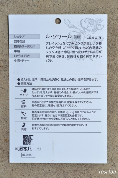 20260716 ルソワール バラ ブログ ローズドゥメルスリー 河本バラ園 ラベル タグ 画像 roselog
